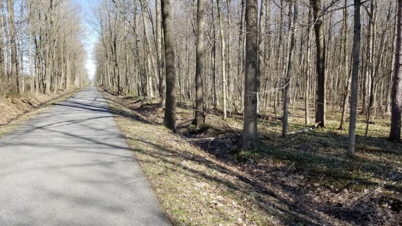 Clarence Bike Path - Clarence Center, NY