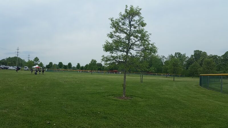 Memorial Park - Clarence Center, NY