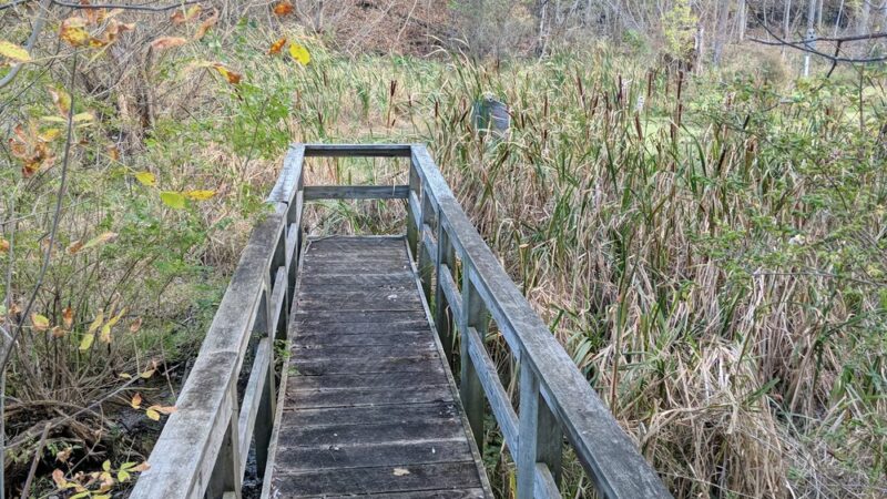 Clarence Escarpment Sanctuary - Clarence, NY