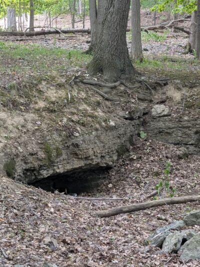 Clarence Escarpment Sanctuary - Clarence, NY
