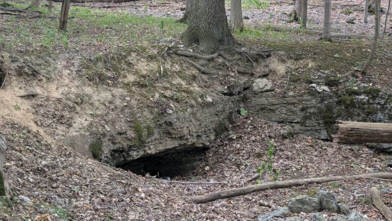 Clarence Escarpment Sanctuary - Clarence, NY