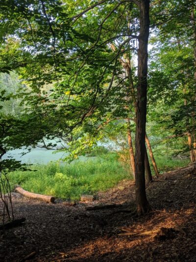 Clarence Escarpment Sanctuary - Clarence, NY