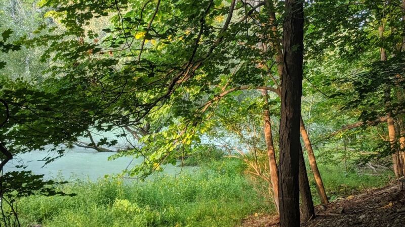 Clarence Escarpment Sanctuary - Clarence, NY