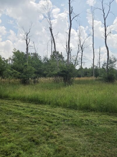 Clarence Nature Center Building - Clarence, NY