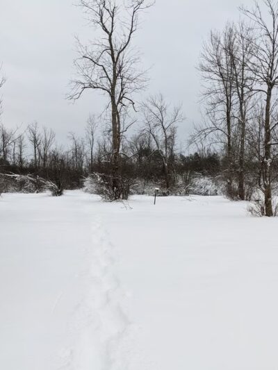 Clarence Nature Center Building - Clarence, NY
