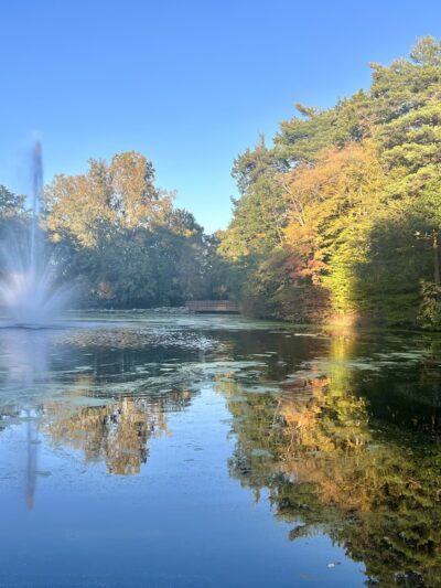 Clarence Town Park - Clarence, NY