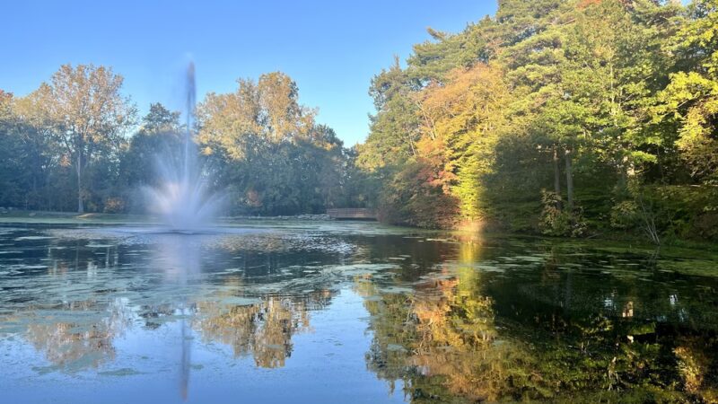 Clarence Town Park - Clarence, NY