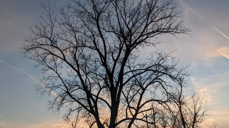 Thompson Road Park - Clarence, NY