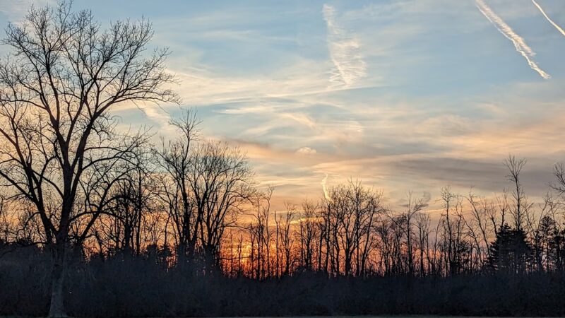 Thompson Road Park - Clarence, NY