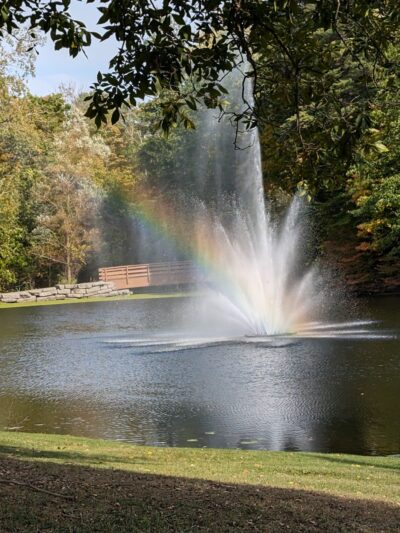 Town Place Park- Clarence Town Park - Clarence, NY