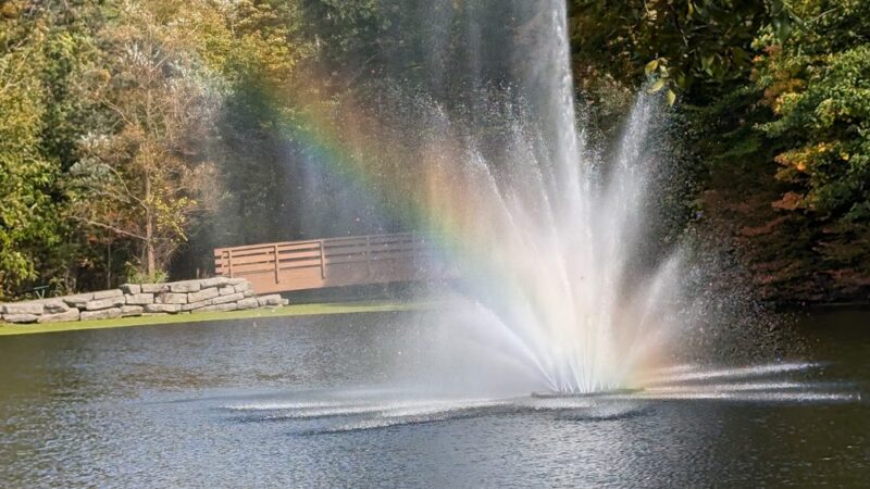 Town Place Park- Clarence Town Park - Clarence, NY