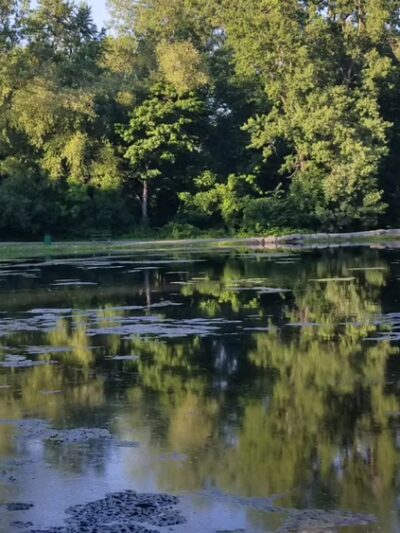 Town Place Park- Clarence Town Park - Clarence, NY