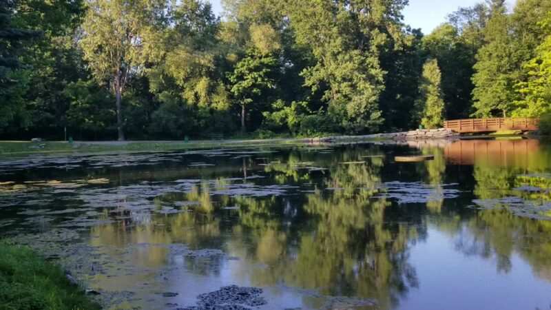 Town Place Park- Clarence Town Park - Clarence, NY