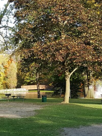 Town Place Park- Clarence Town Park - Clarence, NY