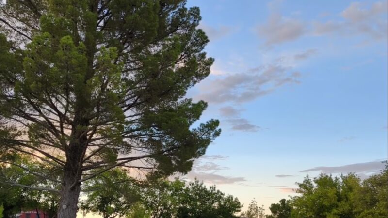 Clarkdale Park - Clarkdale, AZ