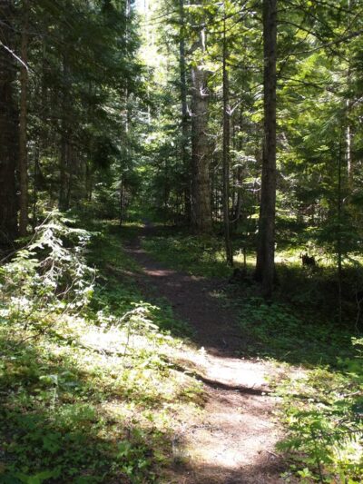 Emerald Creek Campground - Clarkia, ID