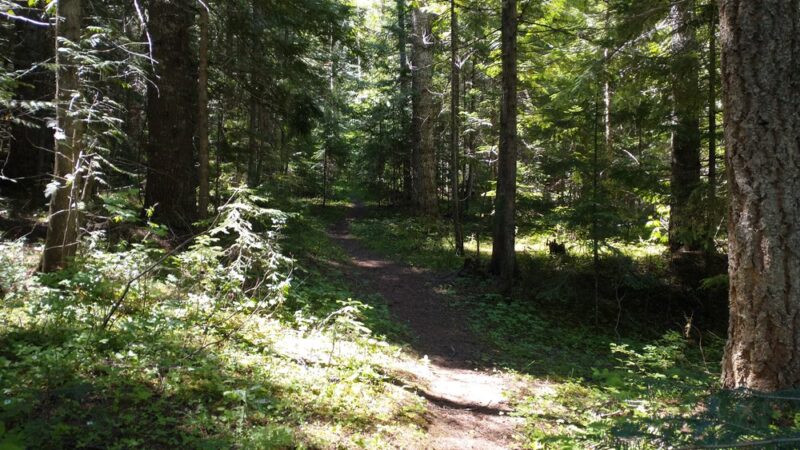Emerald Creek Campground - Clarkia, ID