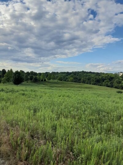 Arora Hills Local Park - Clarksburg, MD