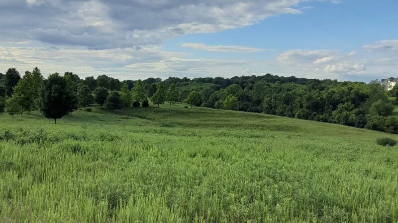 Arora Hills Local Park - Clarksburg, MD