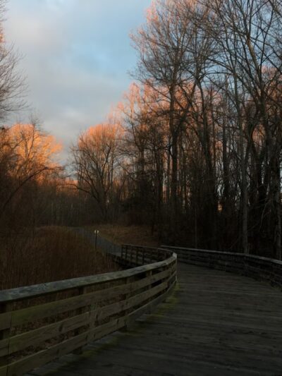Clarksburg Greenway Trail - Clarksburg, MD