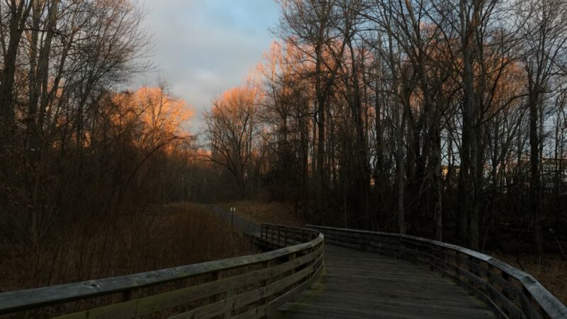 Clarksburg Greenway Trail - Clarksburg, MD