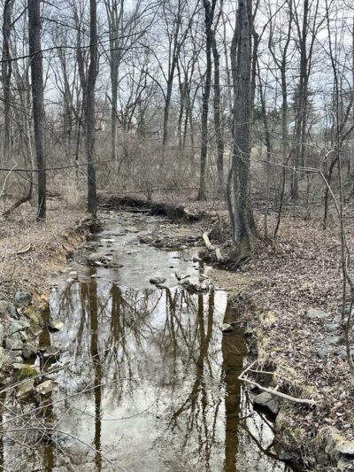 Clarksburg Greenway Trail - Clarksburg, MD