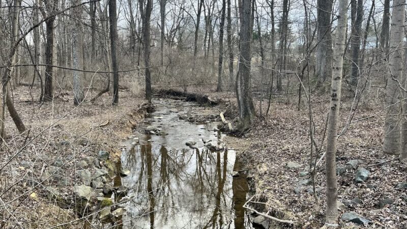 Clarksburg Greenway Trail - Clarksburg, MD