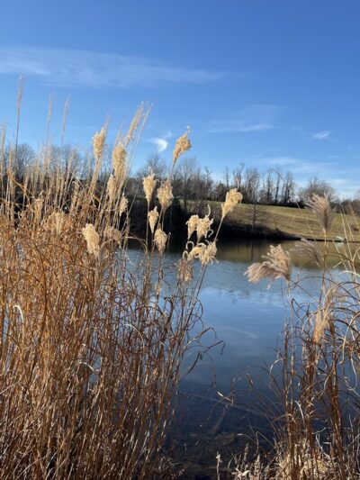 Daniel's Park - Clarksburg, MD