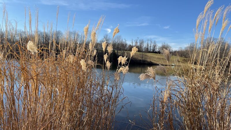 Daniel's Park - Clarksburg, MD