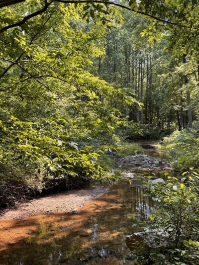 Froggy Hollow Schoolhouse Trail - Clarksburg, MD