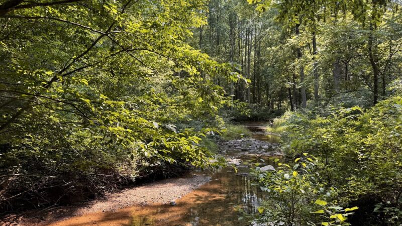 Froggy Hollow Schoolhouse Trail - Clarksburg, MD