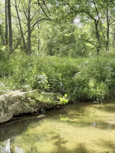Froggy Hollow Schoolhouse Trail - Clarksburg, MD