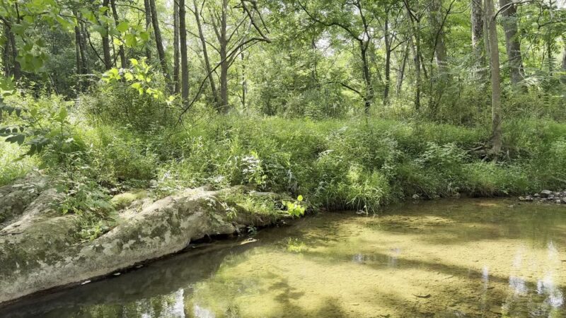 Froggy Hollow Schoolhouse Trail - Clarksburg, MD