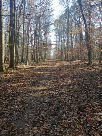 Froggy Hollow Schoolhouse Trail - Clarksburg, MD