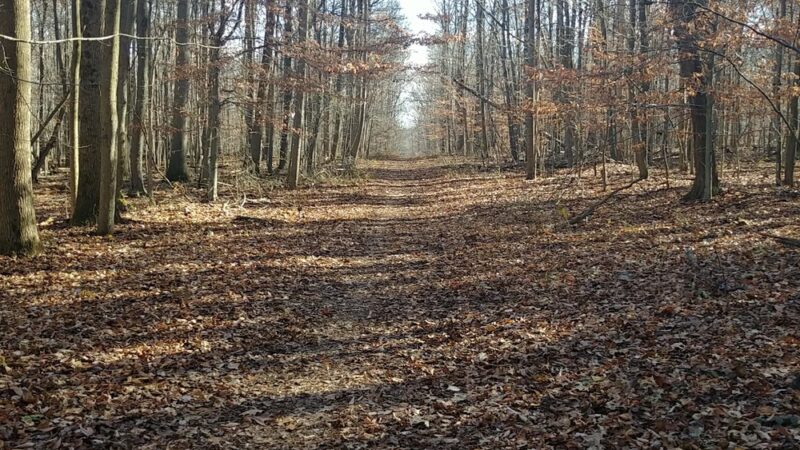 Froggy Hollow Schoolhouse Trail - Clarksburg, MD