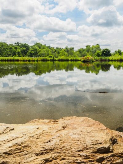 Kings Local Park - Clarksburg, MD