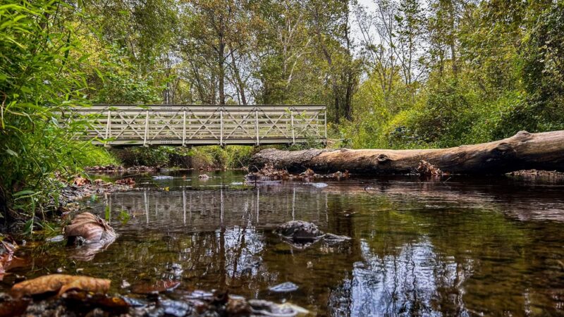 Little Bennett Regional Park - Clarksburg, MD