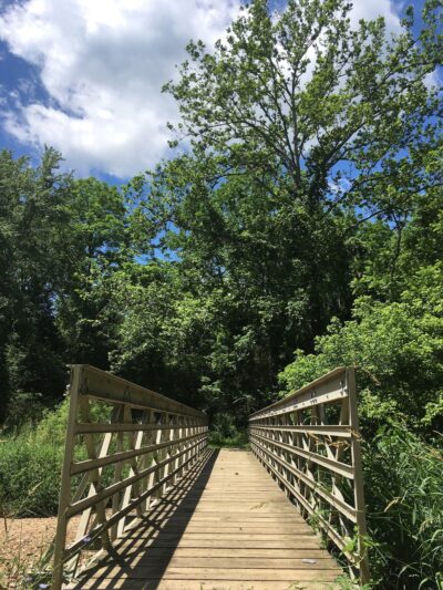 Little Bennett Regional Park - Clarksburg, MD