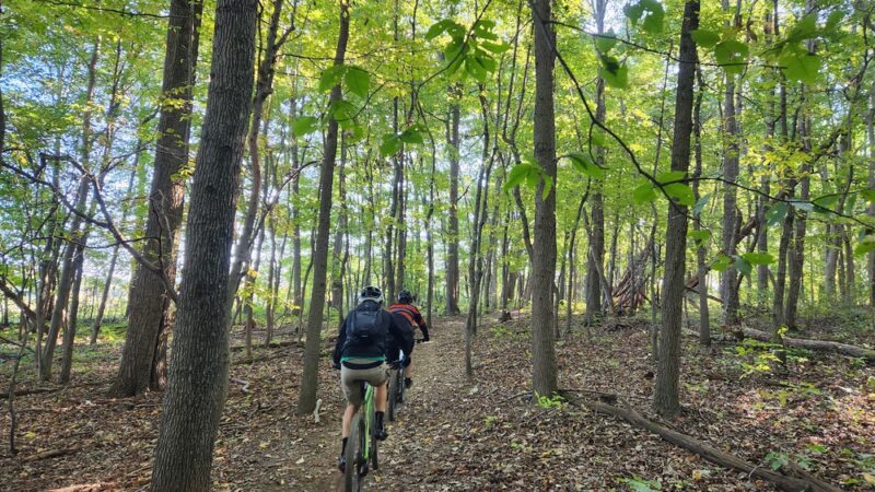 Little Bennett Regional Park - Clarksburg, MD