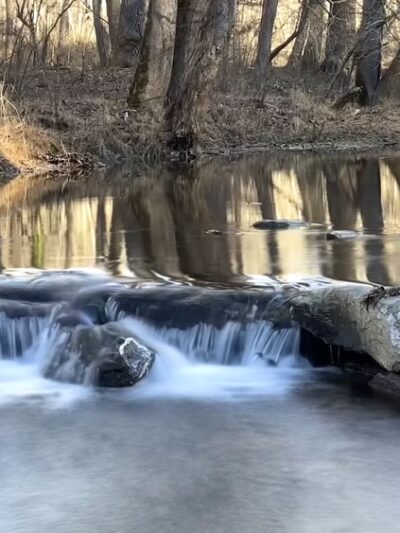 Little Bennett Regional Park - Clarksburg, MD