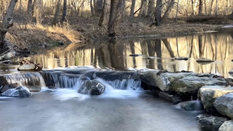 Little Bennett Regional Park - Clarksburg, MD