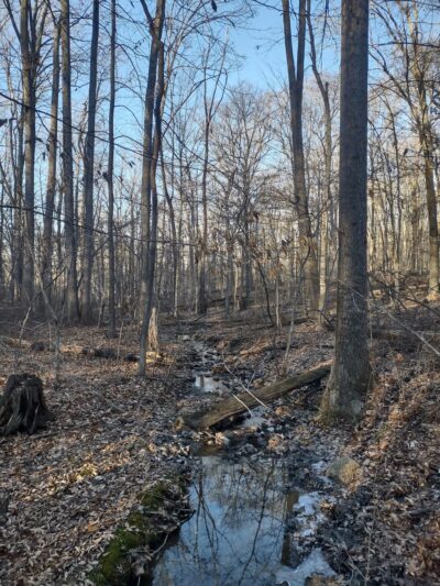 Little Bennett Regional Park - Browning Run Parking Area - Clarksburg, MD
