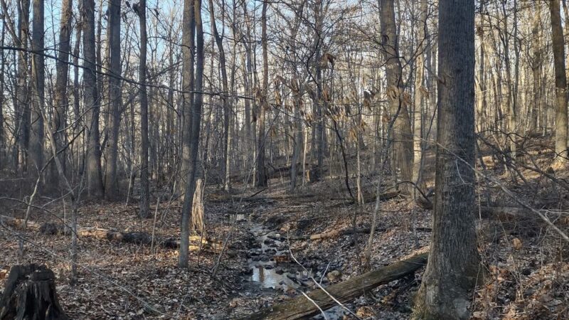 Little Bennett Regional Park - Browning Run Parking Area - Clarksburg, MD