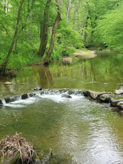Little Bennett Regional Park - Browning Run Parking Area - Clarksburg, MD