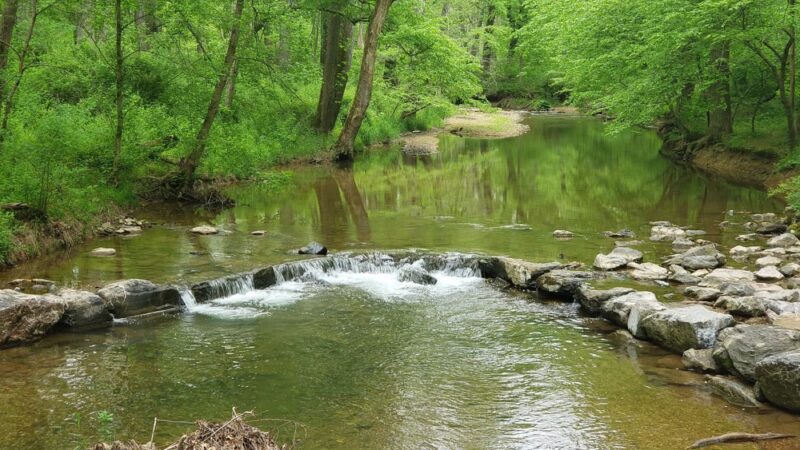 Little Bennett Regional Park - Browning Run Parking Area - Clarksburg, MD