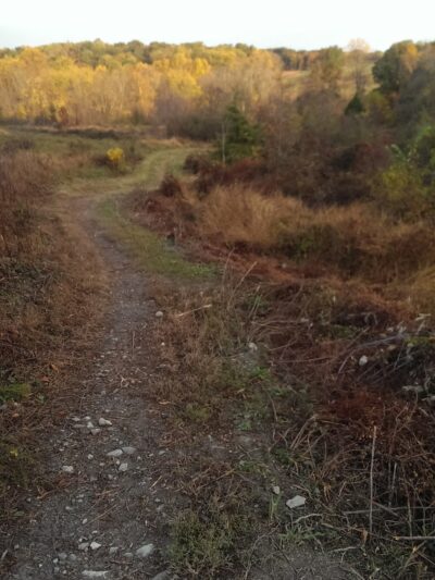 Little Bennett Regional Park - Browning Run Parking Area - Clarksburg, MD