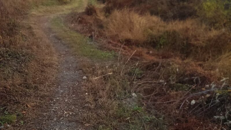 Little Bennett Regional Park - Browning Run Parking Area - Clarksburg, MD