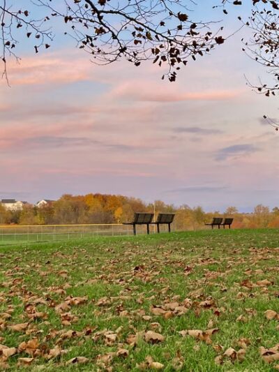 Ovid Hazen Wells Recreational Park - Clarksburg, MD