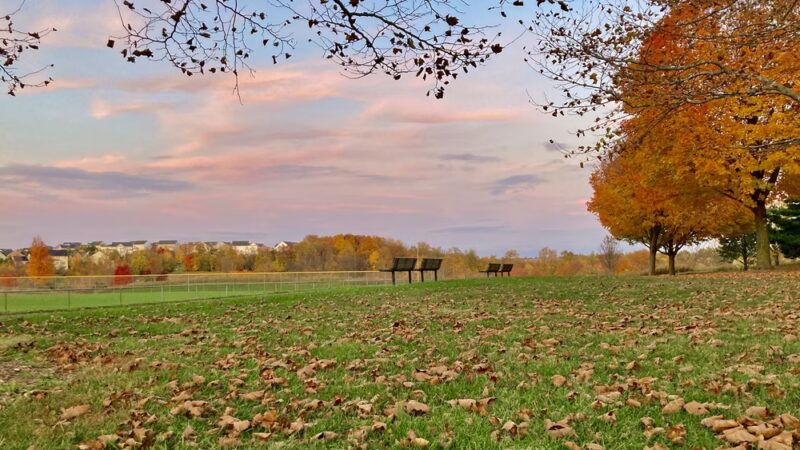 Ovid Hazen Wells Recreational Park - Clarksburg, MD