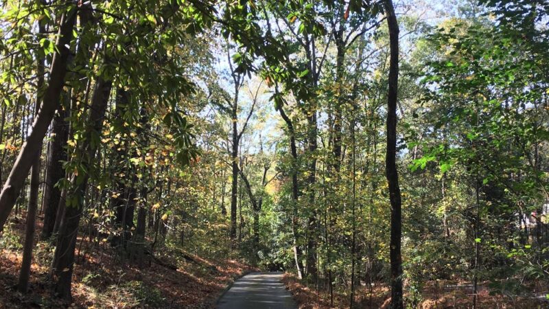 Friendship Park - Clarkston, GA